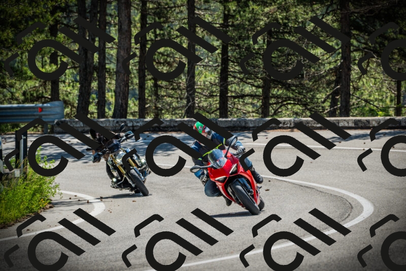 202506021054-DSC03171_c1_