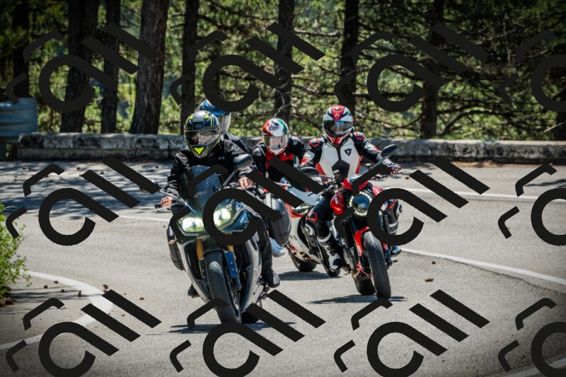 202506021055-DSC03177_c1_