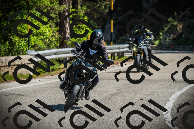 202506021057-DSC03186_c1_