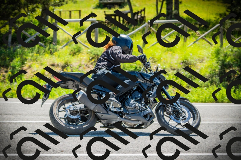 202506021057-DSC03189_c1_