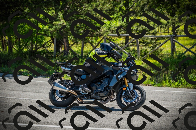 202506021057-DSC03190_c1_