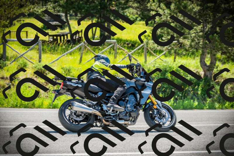 202506021057-DSC03191_c1_