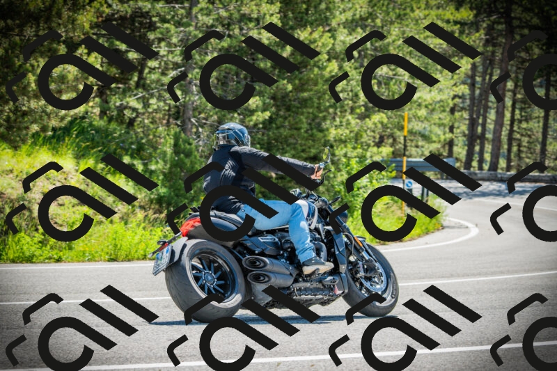 202506021057-DSC03196_c1_