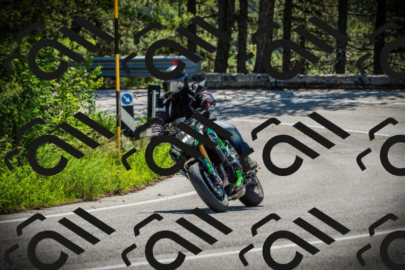 202506021059-DSC03197_c1_