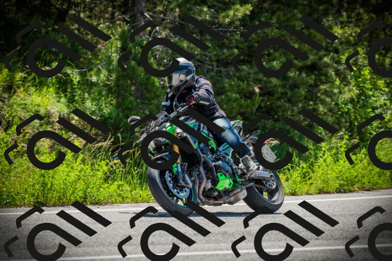 202506021059-DSC03198_c1_