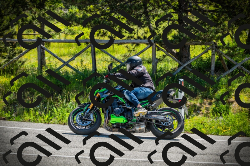 202506021059-DSC03199_c1_