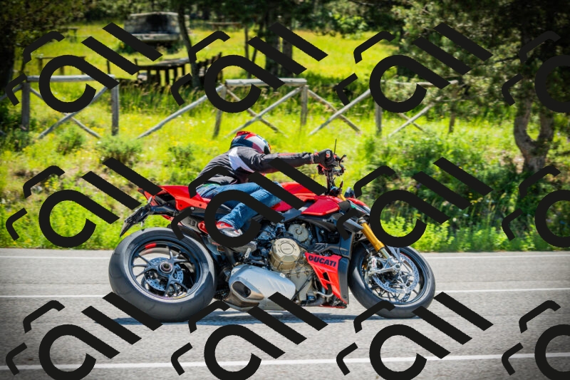 202506021100-DSC03204_c1_