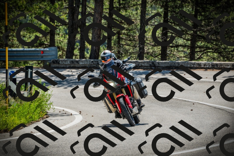 202506021100-DSC03207_c1_