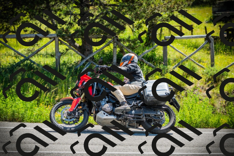 202506021100-DSC03209_c1_