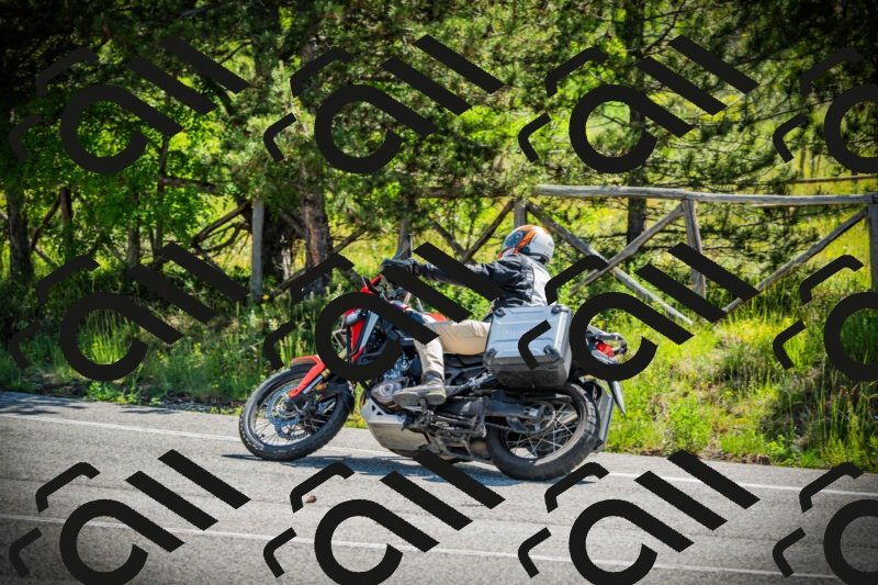 202506021100-DSC03210_c1_