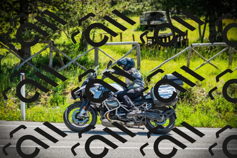 202506021100-DSC03211_c1_