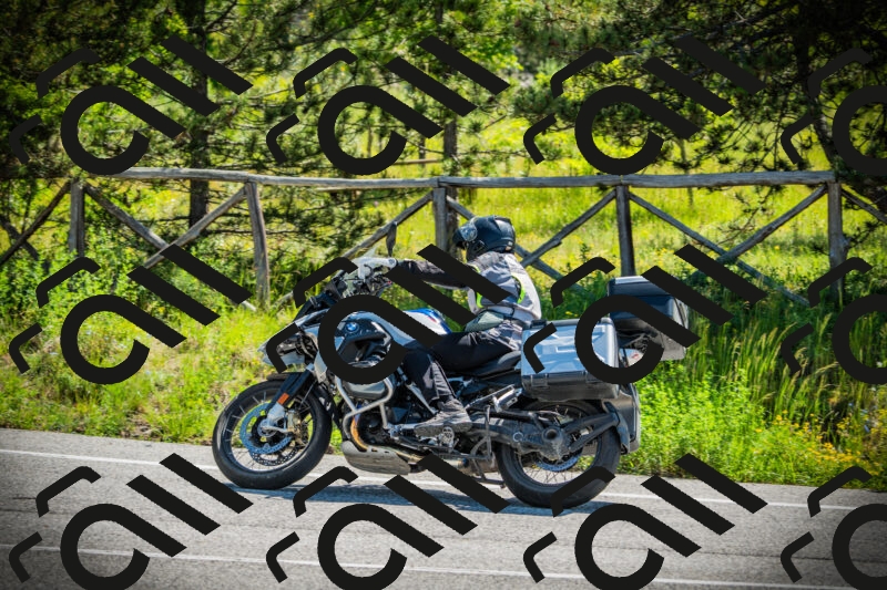 202506021100-DSC03212_c1_