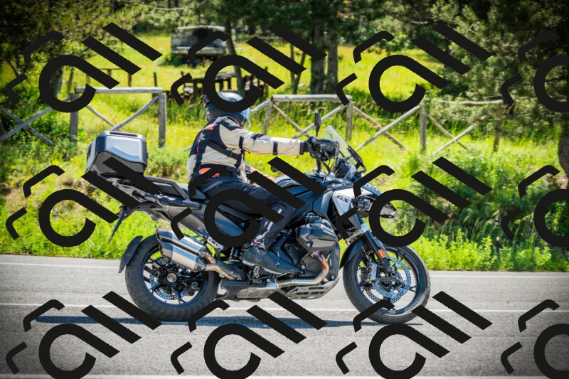 202506021102-DSC03217_c1_