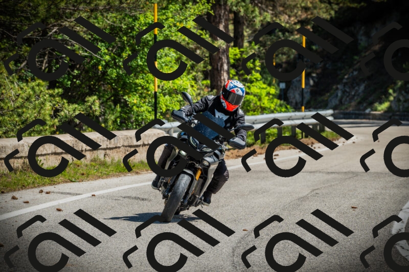 202506021103-DSC03223_c1_