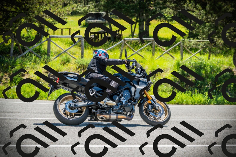 202506021103-DSC03226_c1_