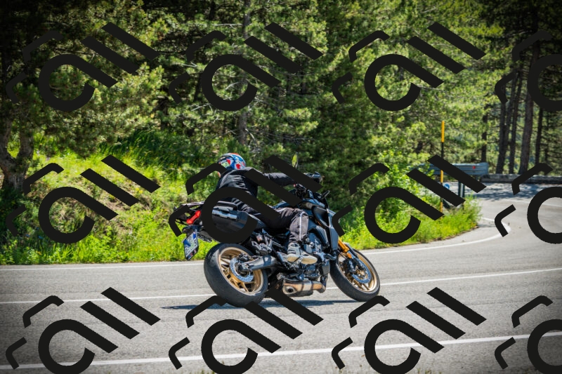 202506021103-DSC03227_c1_