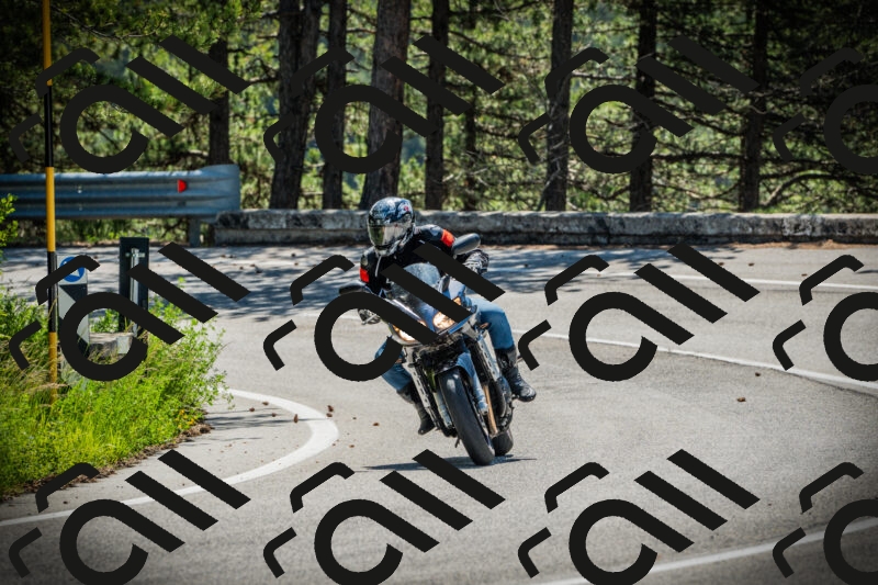 202506021103-DSC03229_c1_