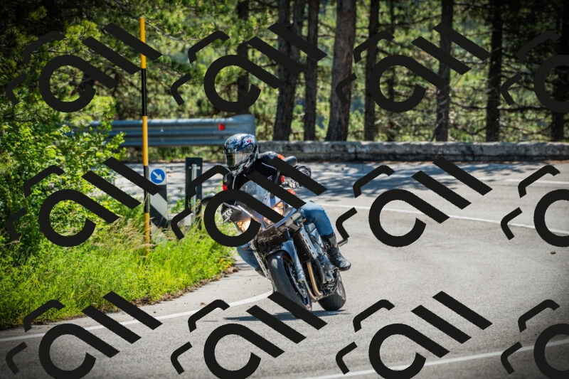 202506021103-DSC03230_c1_