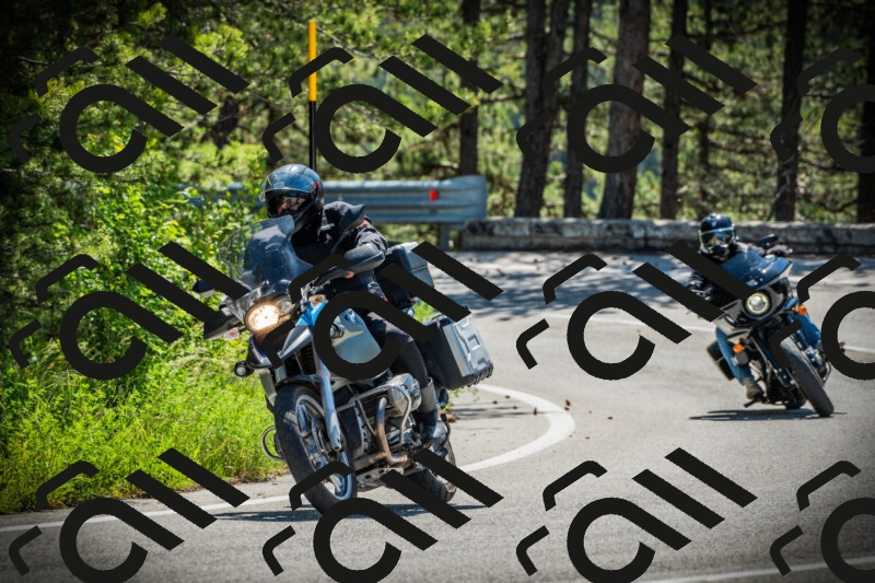 202506021103-DSC03235_c1_