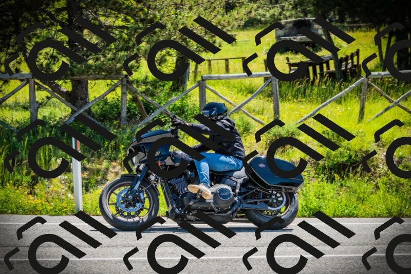 202506021103-DSC03238_c1_