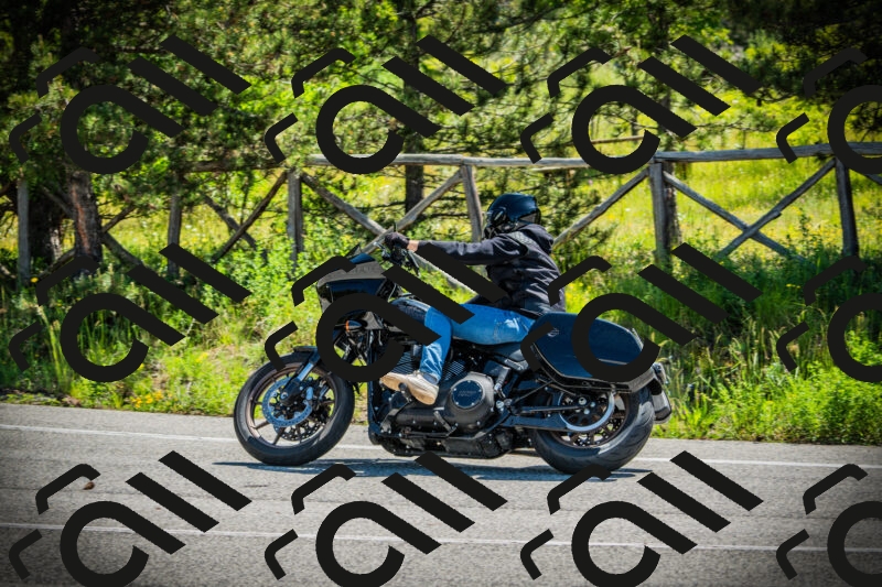 202506021103-DSC03239_c1_