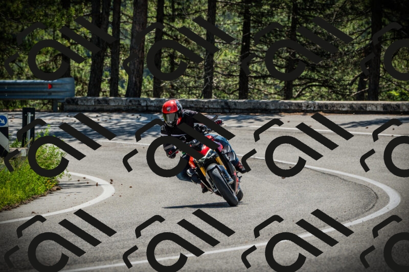 202506021104-DSC03242_c1_