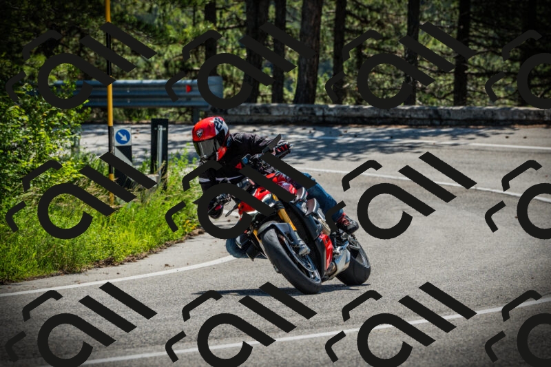 202506021104-DSC03243_c1_