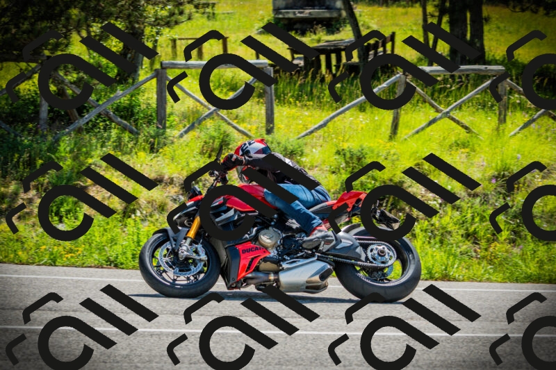 202506021104-DSC03244_c1_