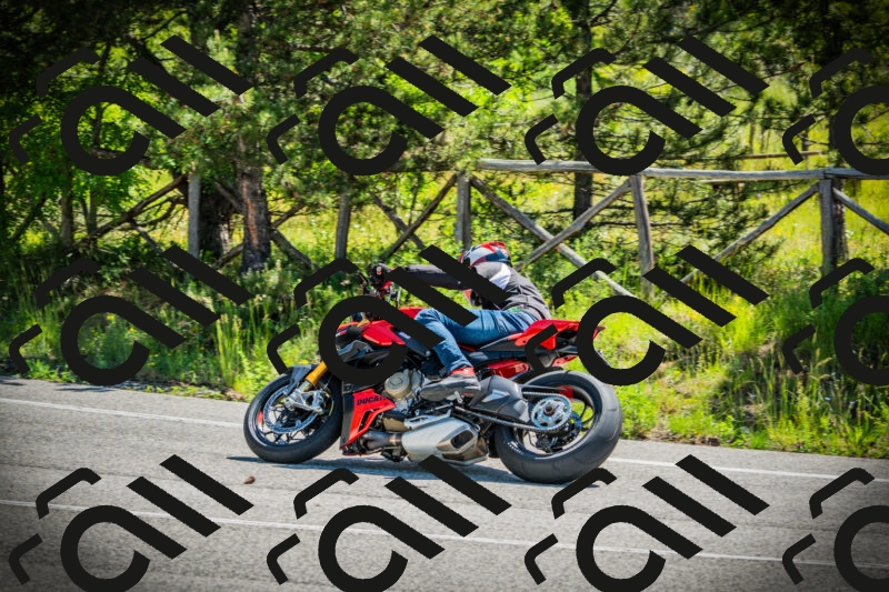 202506021104-DSC03245_c1_