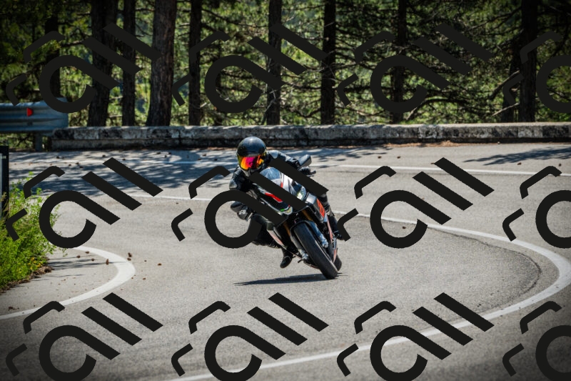 202506021104-DSC03247_c1_