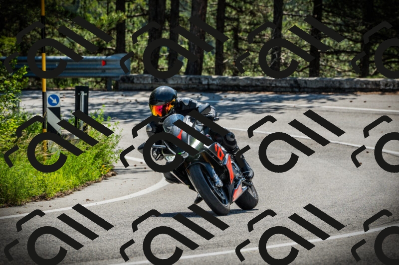 202506021104-DSC03248_c1_