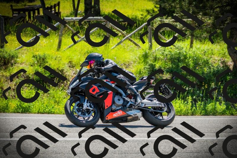 202506021104-DSC03249_c1_