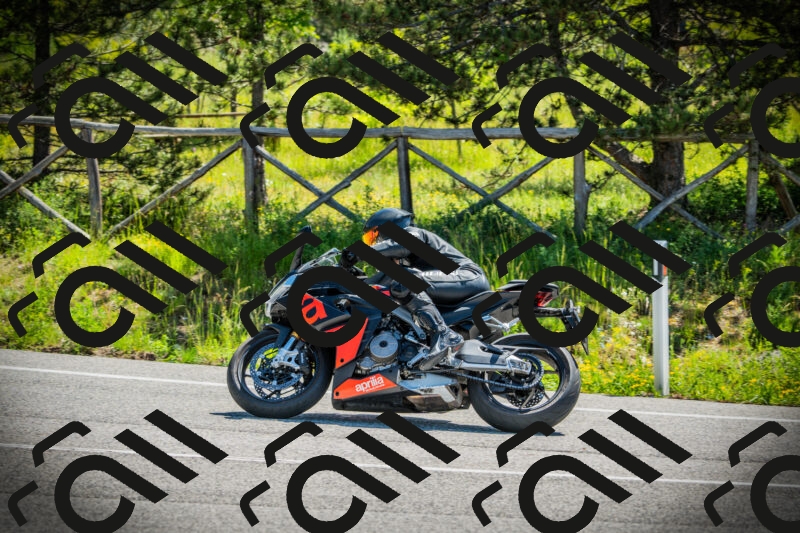 202506021104-DSC03250_c1_