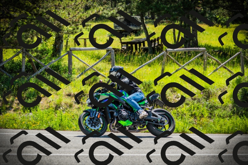 202506021105-DSC03254_c1_