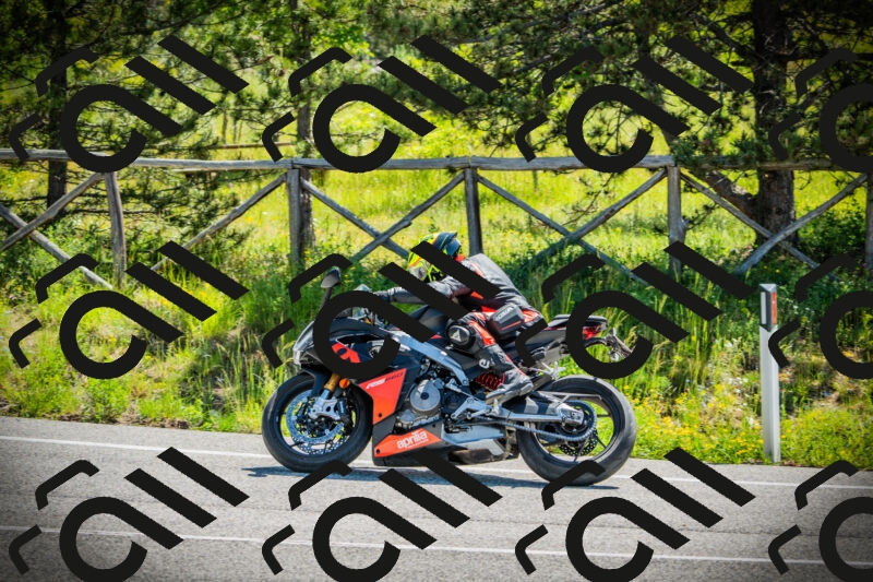 202506021105-DSC03255_c1_