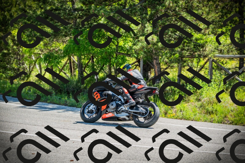 202506021105-DSC03256_c1_