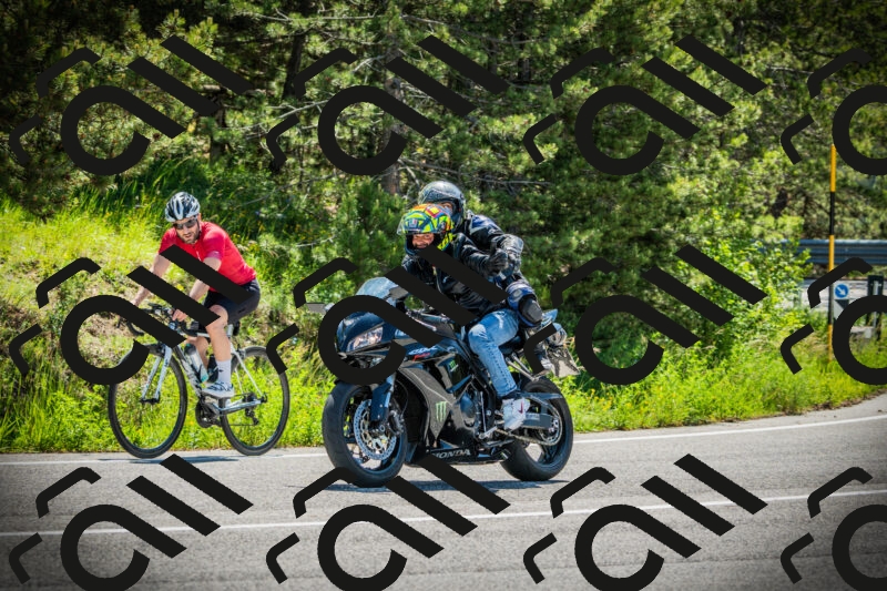 202506021105-DSC03259_c1_