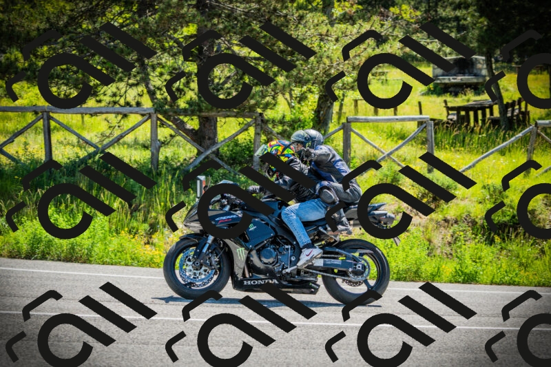 202506021105-DSC03260_c1_