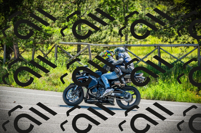 202506021105-DSC03261_c1_