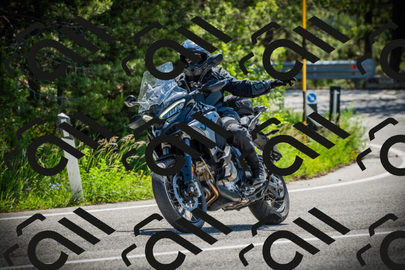 202506021106-DSC03264_c1_