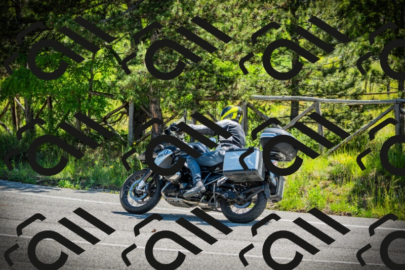 202506021106-DSC03277_c1_