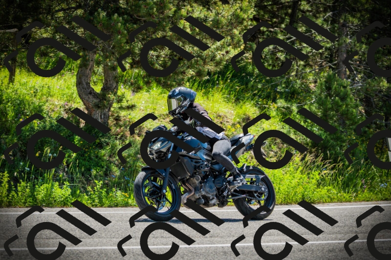 202506021106-DSC03279_c1_