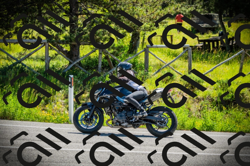 202506021106-DSC03280_c1_