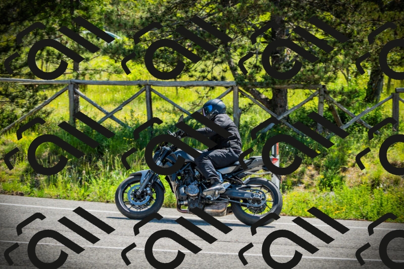 202506021106-DSC03281_c1_