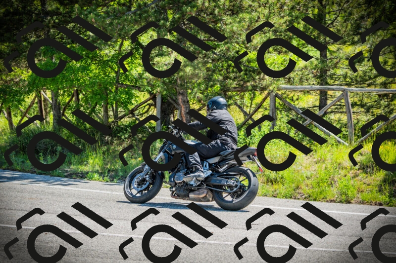 202506021106-DSC03282_c1_