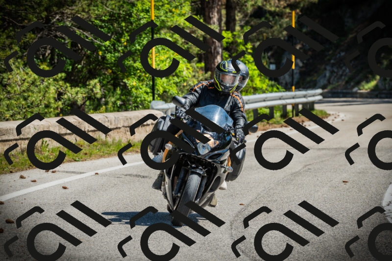 202506021106-DSC03285_c1_