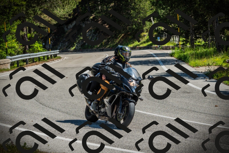 202506021106-DSC03286_c1_