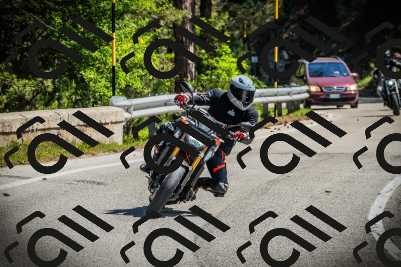 202506021107-DSC03289_c1_