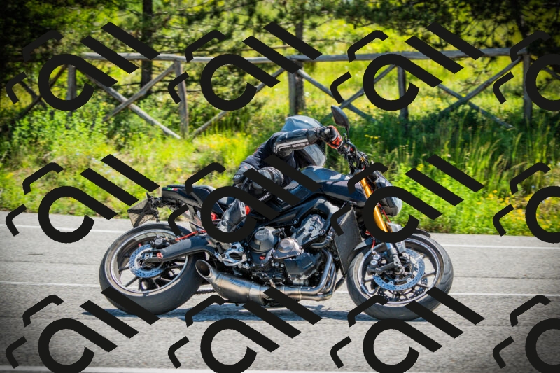 202506021107-DSC03291_c1_