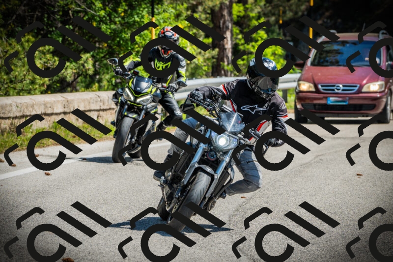 202506021107-DSC03293_c1_